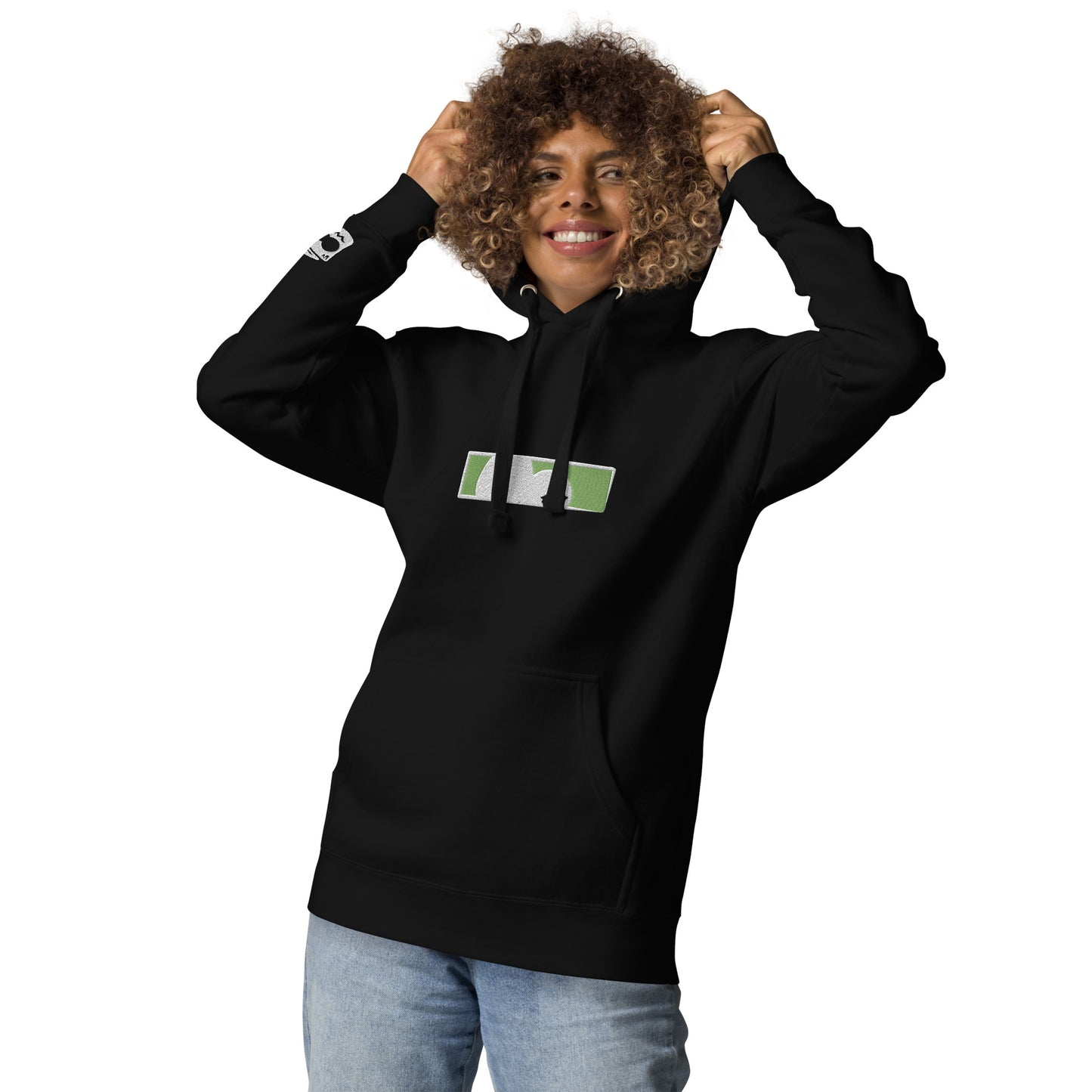 SiC Hoody | iTB "Iced Kiwi"